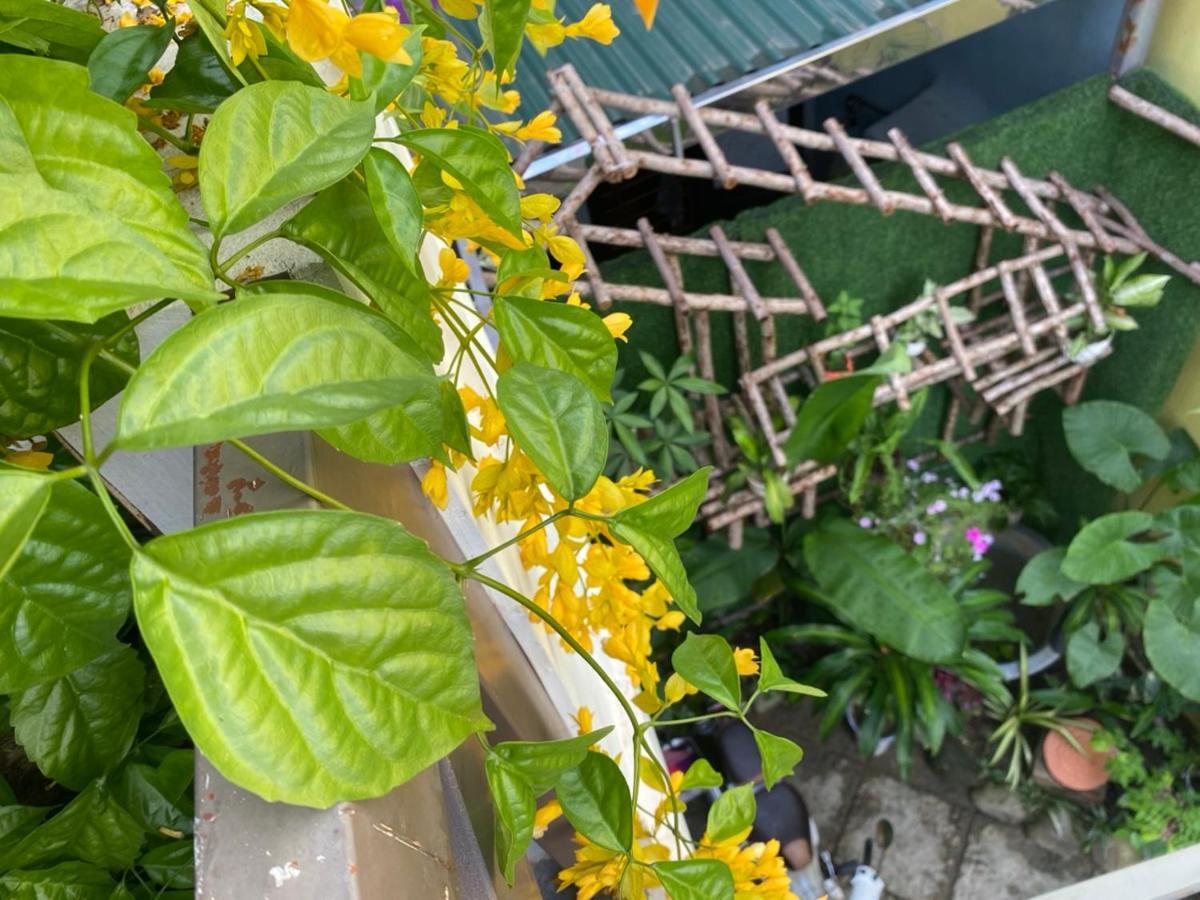 Seven Homestay Hue Zewnętrze zdjęcie